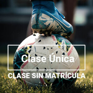 Clase única sin matrícula