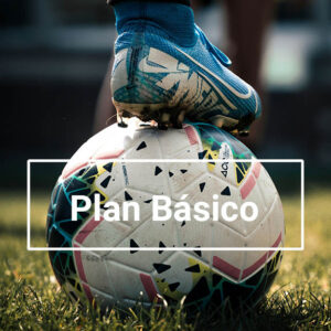Plan Básico