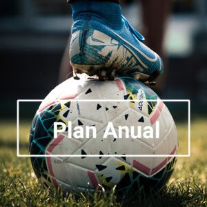 Plan Anual